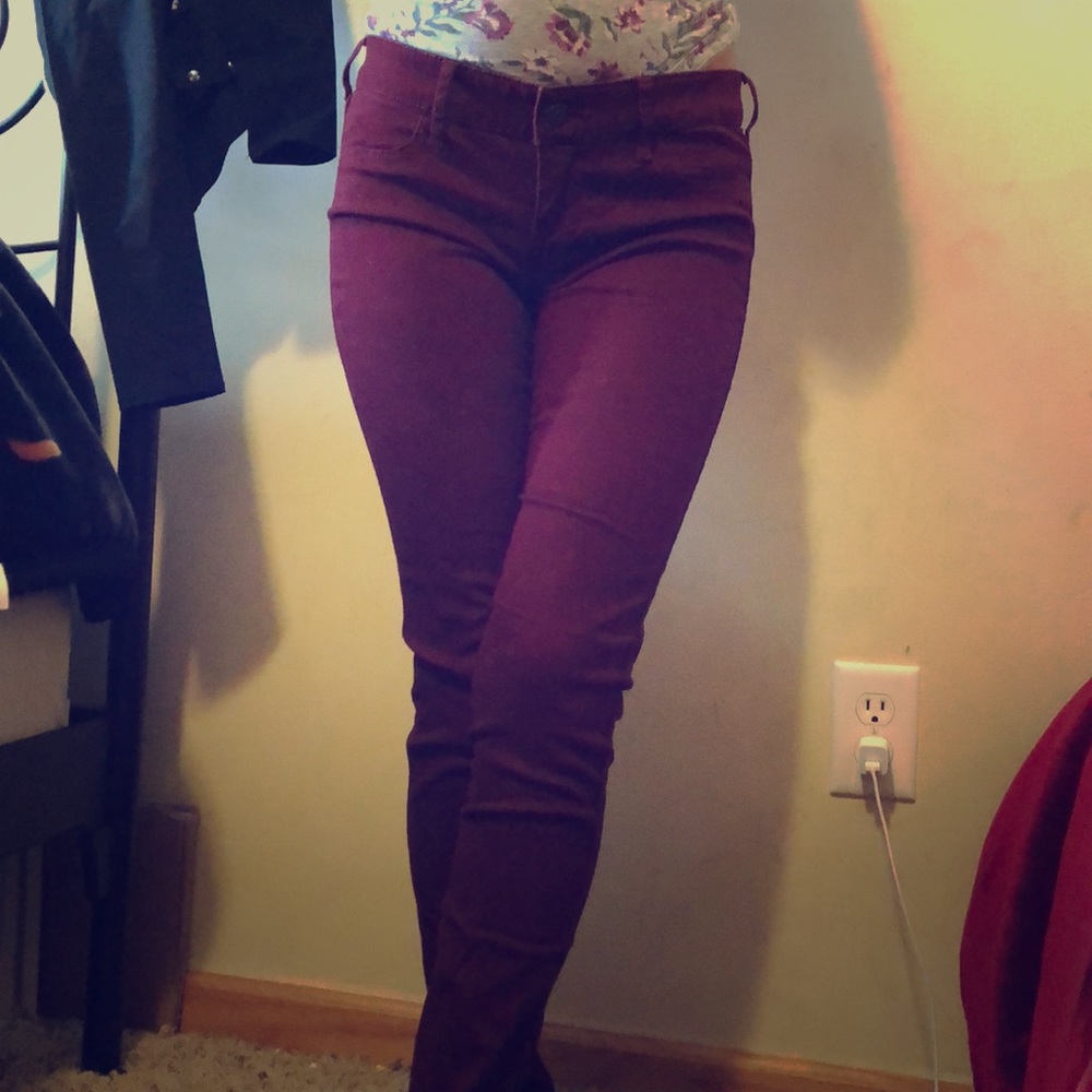 Burgundy Hollister Pant